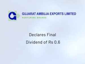 Gujarat Ambuja Exports Dividend 2021